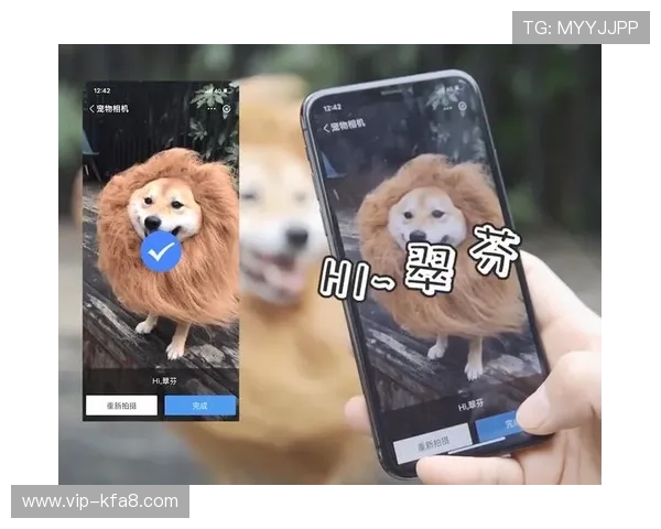 凯发网址欢迎你提供多样化的支付方式满足不同用户的支付需求